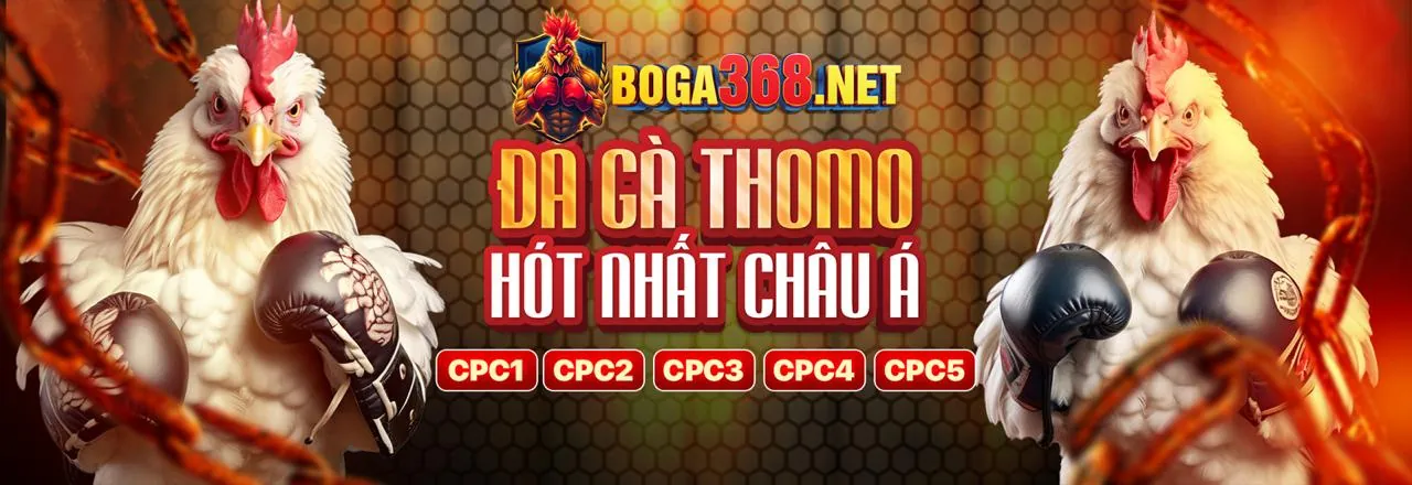 Đá gà trực tiếp sôi động tại ku3936 nhà cái